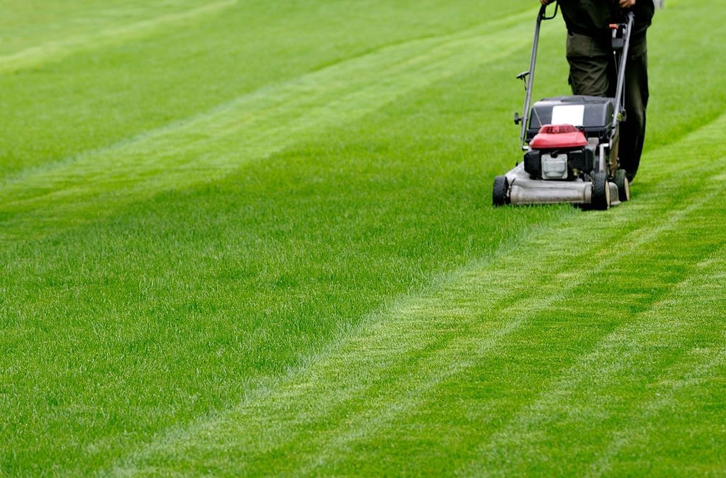 Lawn Mower Questions Answered